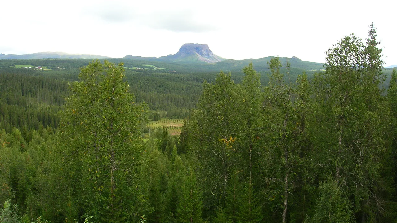 Representativt motiv fra Hattfjelldal kommune