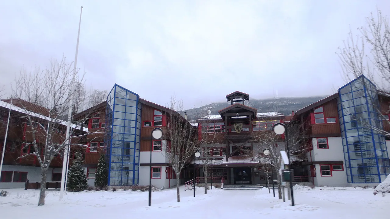 Representativt motiv fra Gol kommune