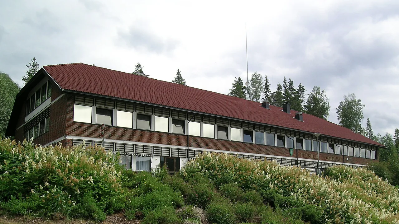 Representativt motiv fra Flesberg kommune