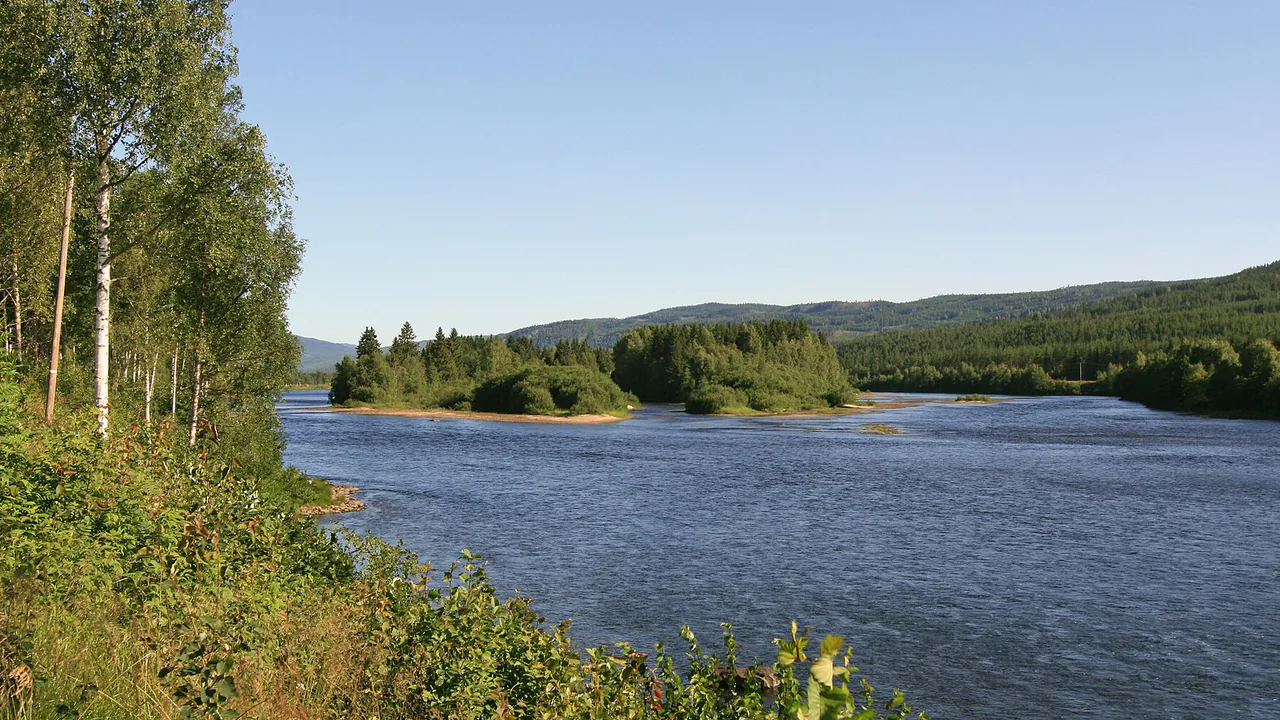 Representativt motiv fra Stor-Elvdal kommune