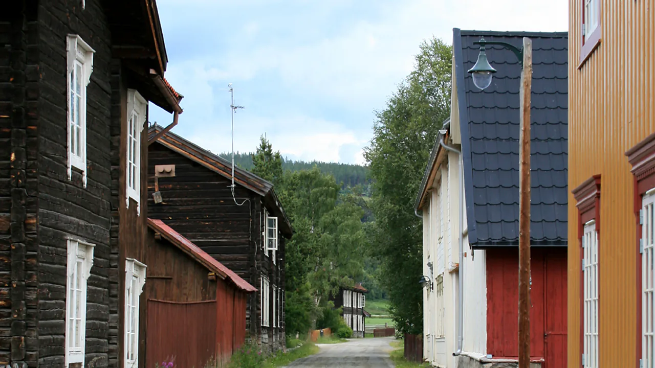 Representativt motiv fra Tolga kommune