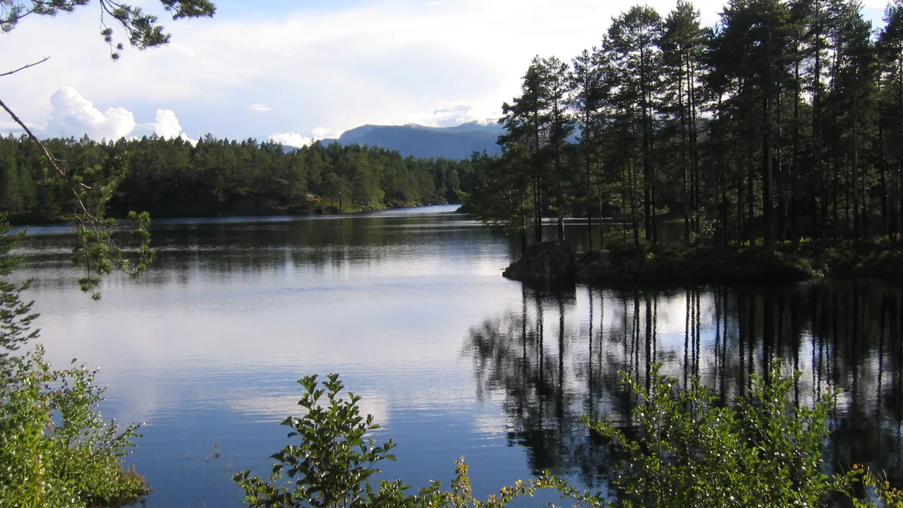 Representativt motiv fra Nissedal kommune
