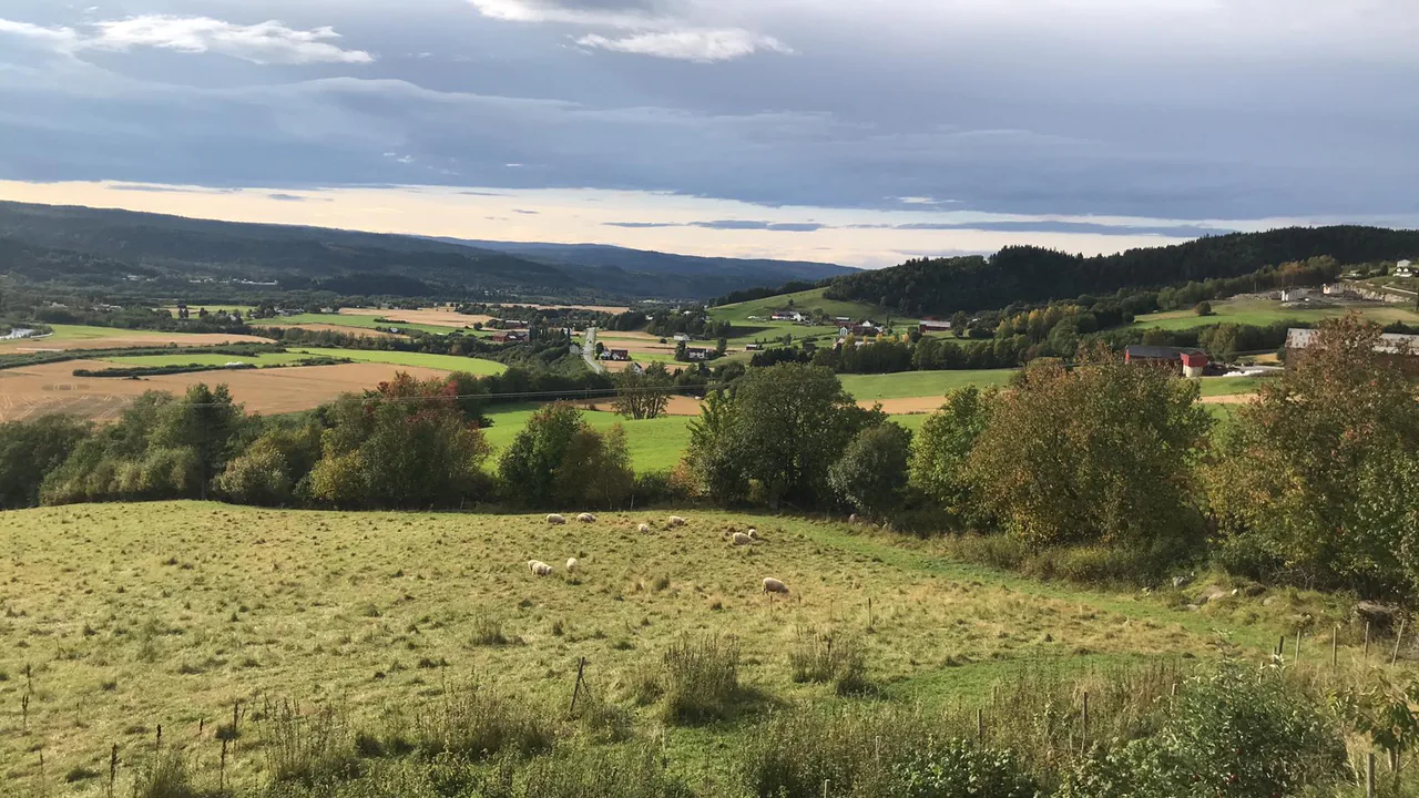 Representativt motiv fra Selbu kommune